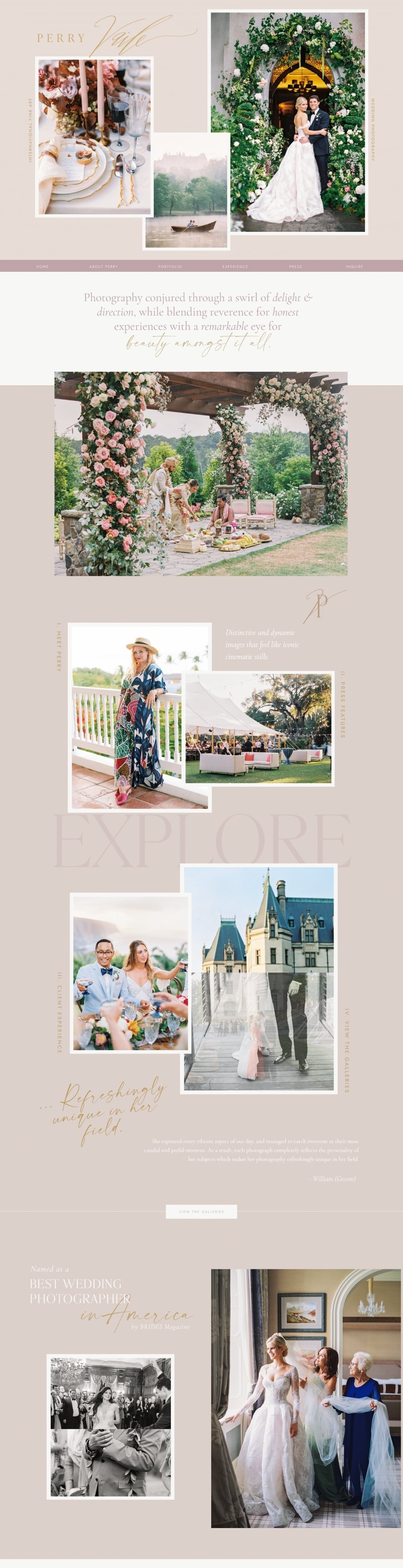 Perry Vaile website design