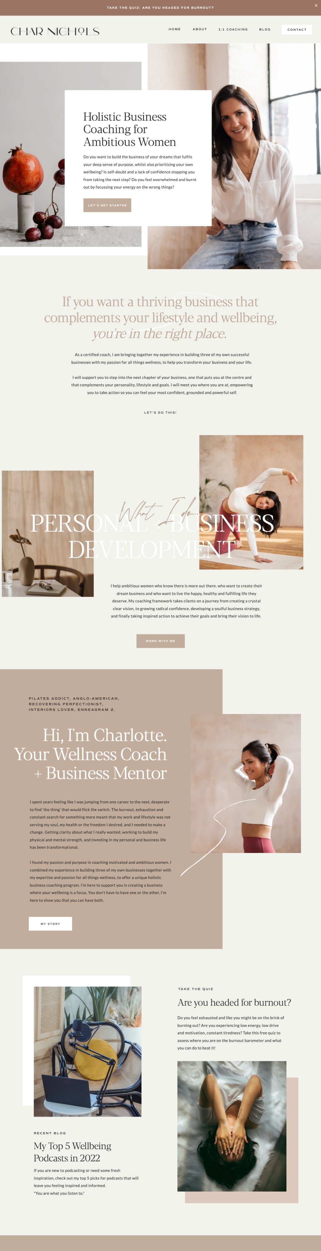 Char Nichols website design