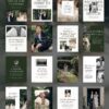 Fitzgerald Social Media Canva Templates - Image 6