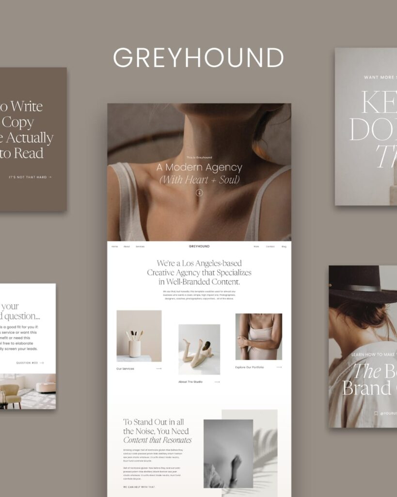 Greyhound