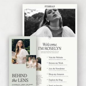 Fitzgerald Links Page thumbnail 0