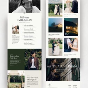 Fitzgerald Links Page thumbnail 3