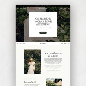 Fitzgerald Sales Page thumbnail 0