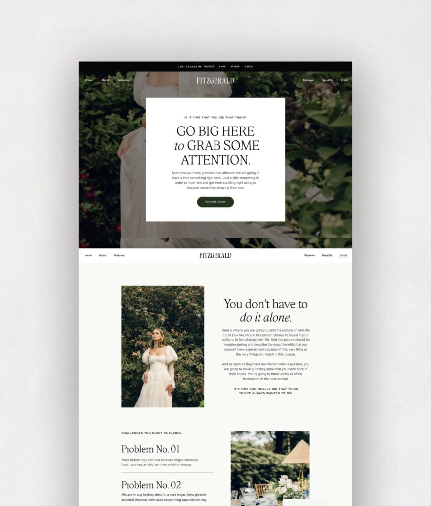 Fitzgerald Sales Page