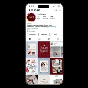 The Prosecco Social Media / Email Canva Templates thumbnail 6