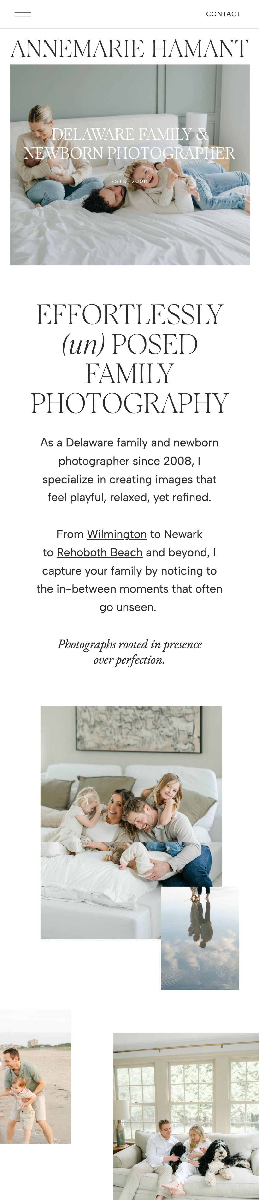 Anne Marie Hamant website design