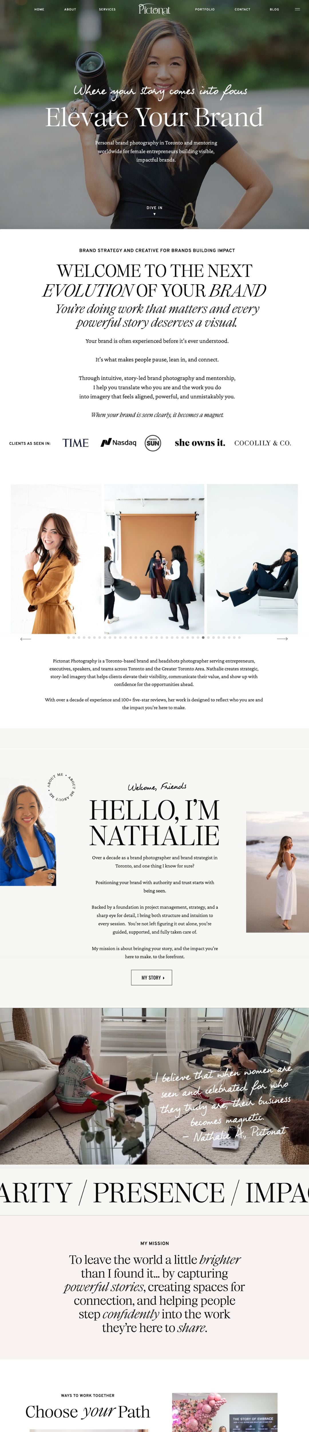 Pictonat website design